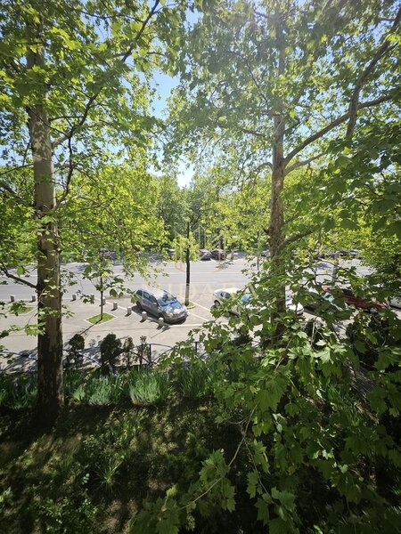Tineretului, 2 camere vizavi parc, 2 ac,